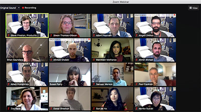 Screenshot of webinar participants. 