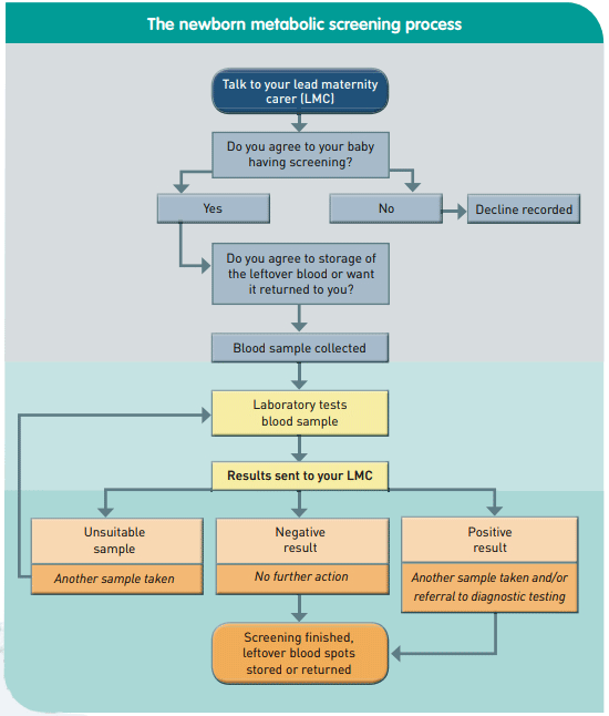 This flowchart outlines that screening is optional; storing the blood spot samples taken during the screening is also optional; laboratory results are sent to your LMC (Lead Maternity Carer) or your GP; if a result is positive, another sample is taken and/or your baby is referred for additional diagnostic testing; once screening is finished, leftover bloodspots are either stored or sent back as arranged. 